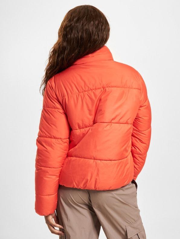 15323230/Fiesta ONLY