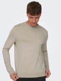 ONLY&SONS ONSWYLER LIFE REG 14 LS CREW KNIT NOOS
