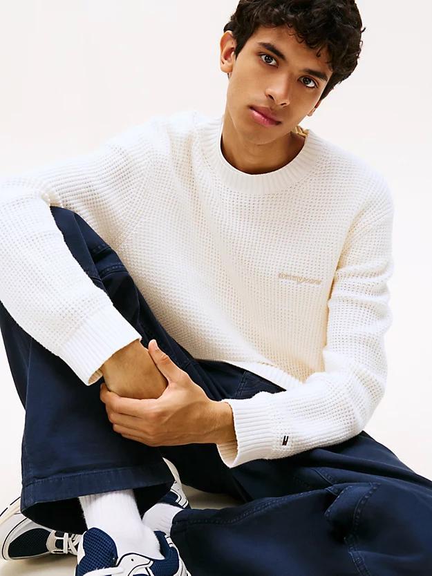 DM0DM22098/YBH TOMMY JEANS