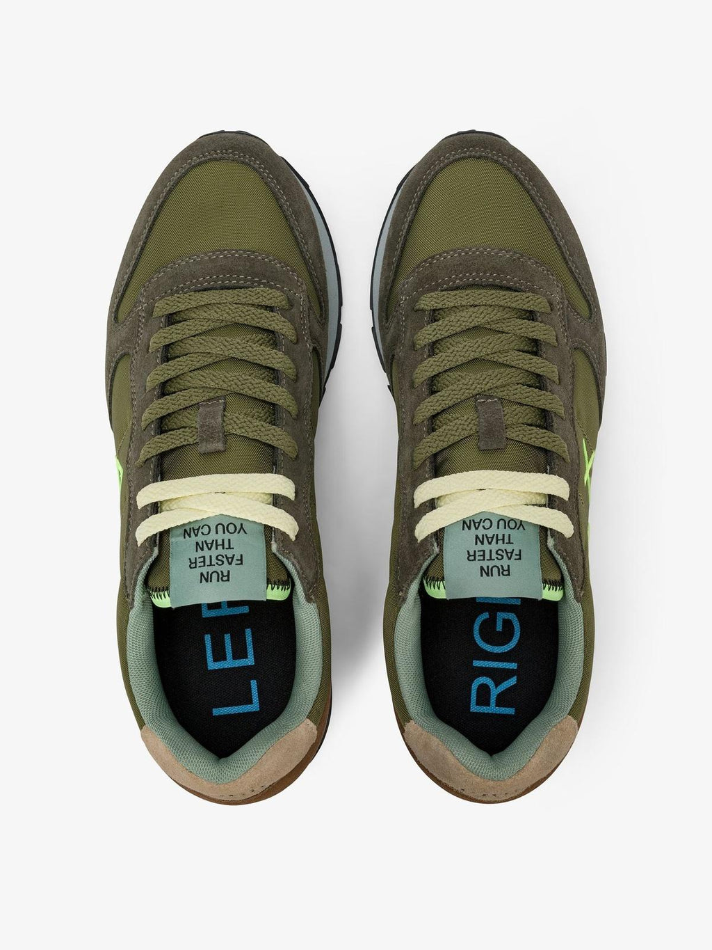 TOM MULTICOLOR 