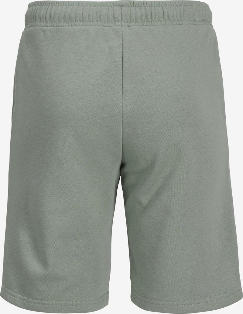 12269948/Iceberg Green JACK JONES KIDS