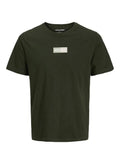 JACK AND JONES JJPAN TEE SS CREW NECK