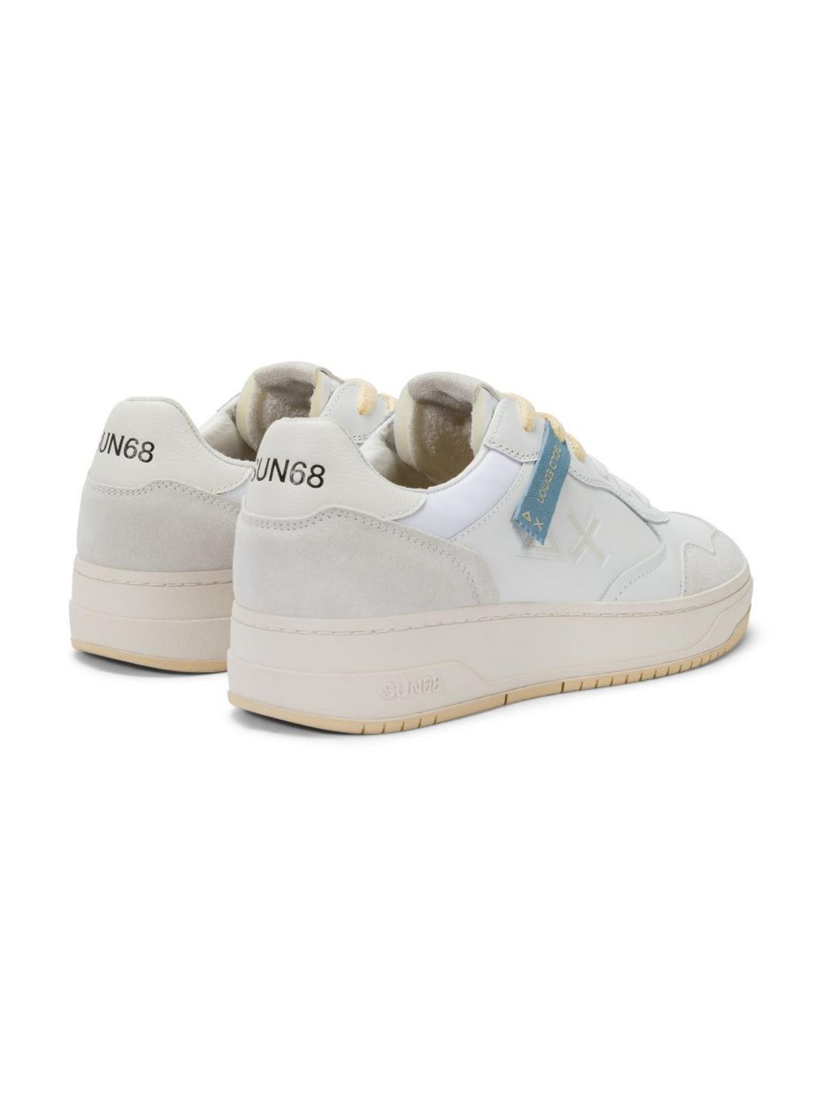 BIG BASKET EVO 