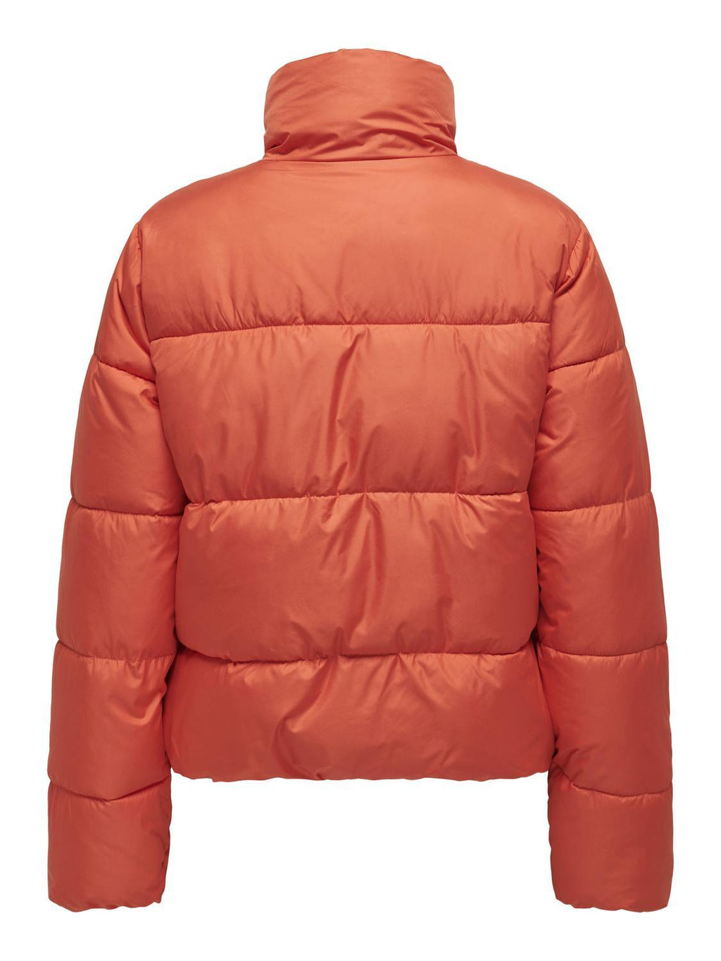 15323230/Fiesta ONLY