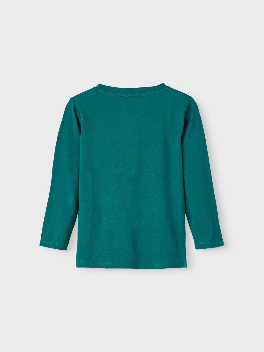 13212459/Forest Biome NAME.IT