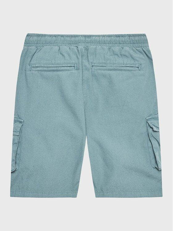 CARGO SHORTS_CORE N2RD01D3XN0/G7DV GUESS