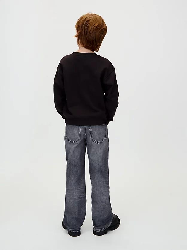 IB0IB02562J/BEH CALVIN KLEIN JEANS