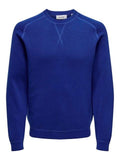 ONLY&SONS ONSPIN REG 12 CREW KNIT