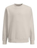 JACK JONES KIDS JJJIN SWEAT CREW NECK MNI