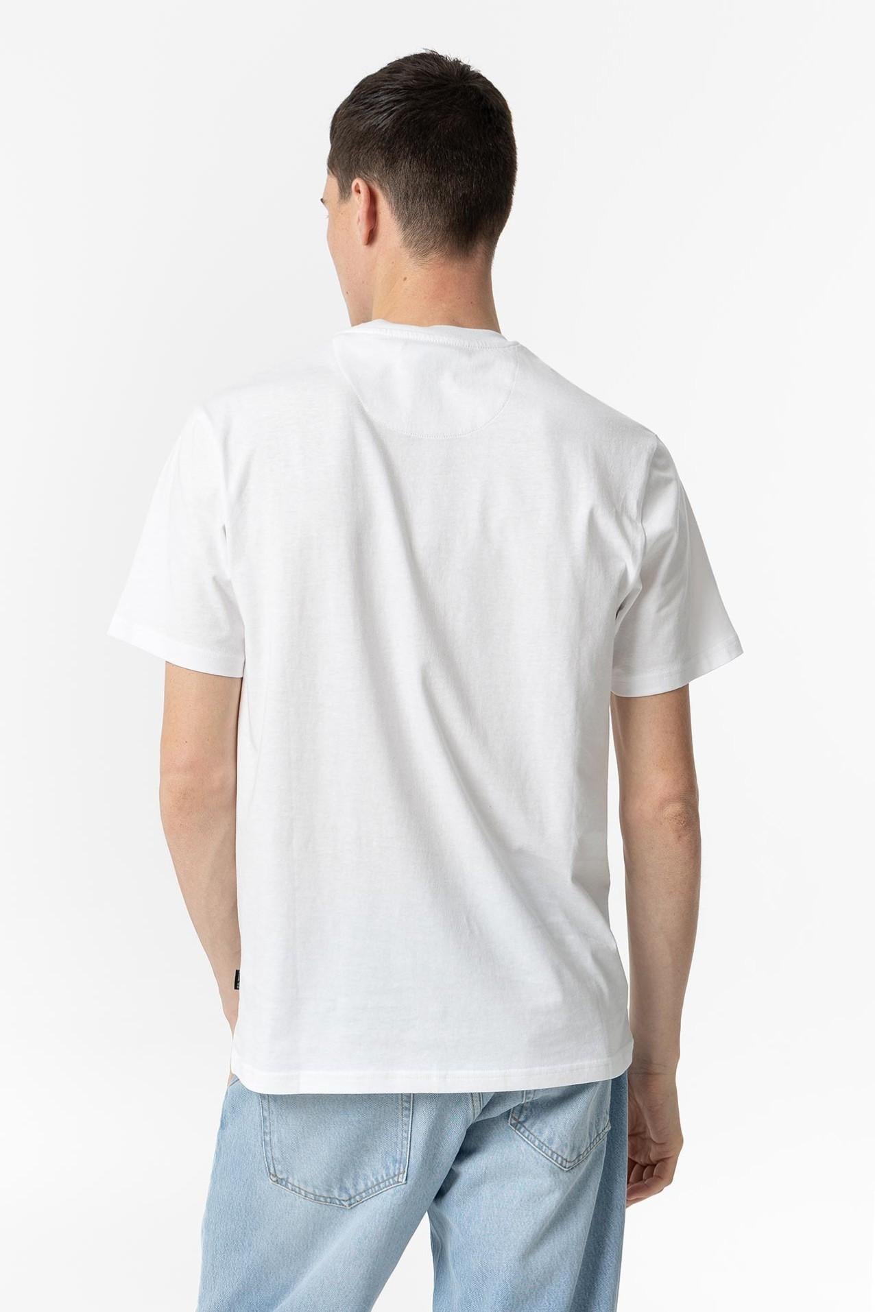 10059074/001 TIFFOSI