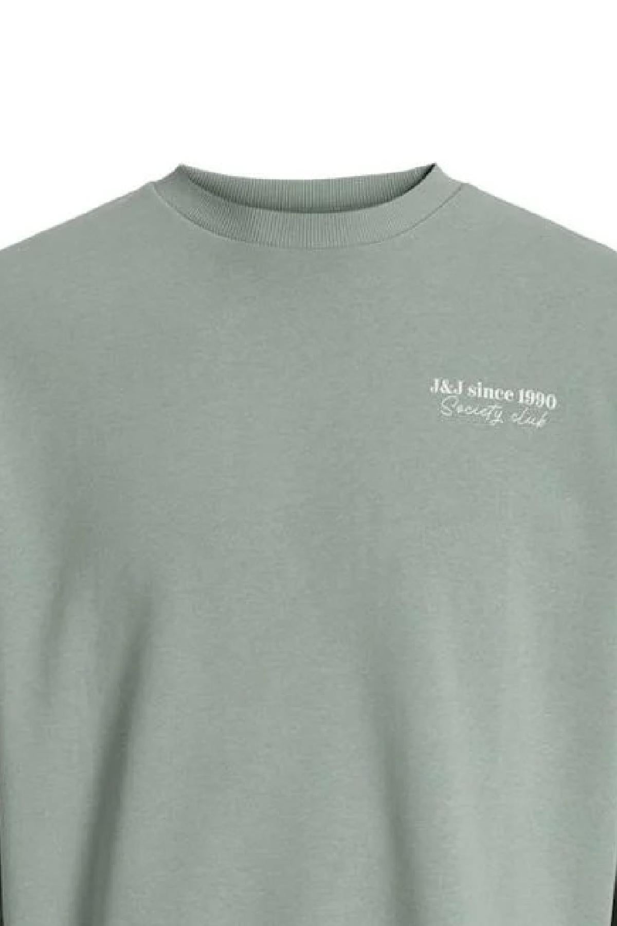 12280711/Iceberg Green JACK AND JONES