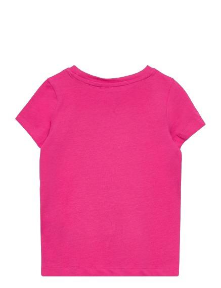 13212946/Pink Yarrow NAME.IT