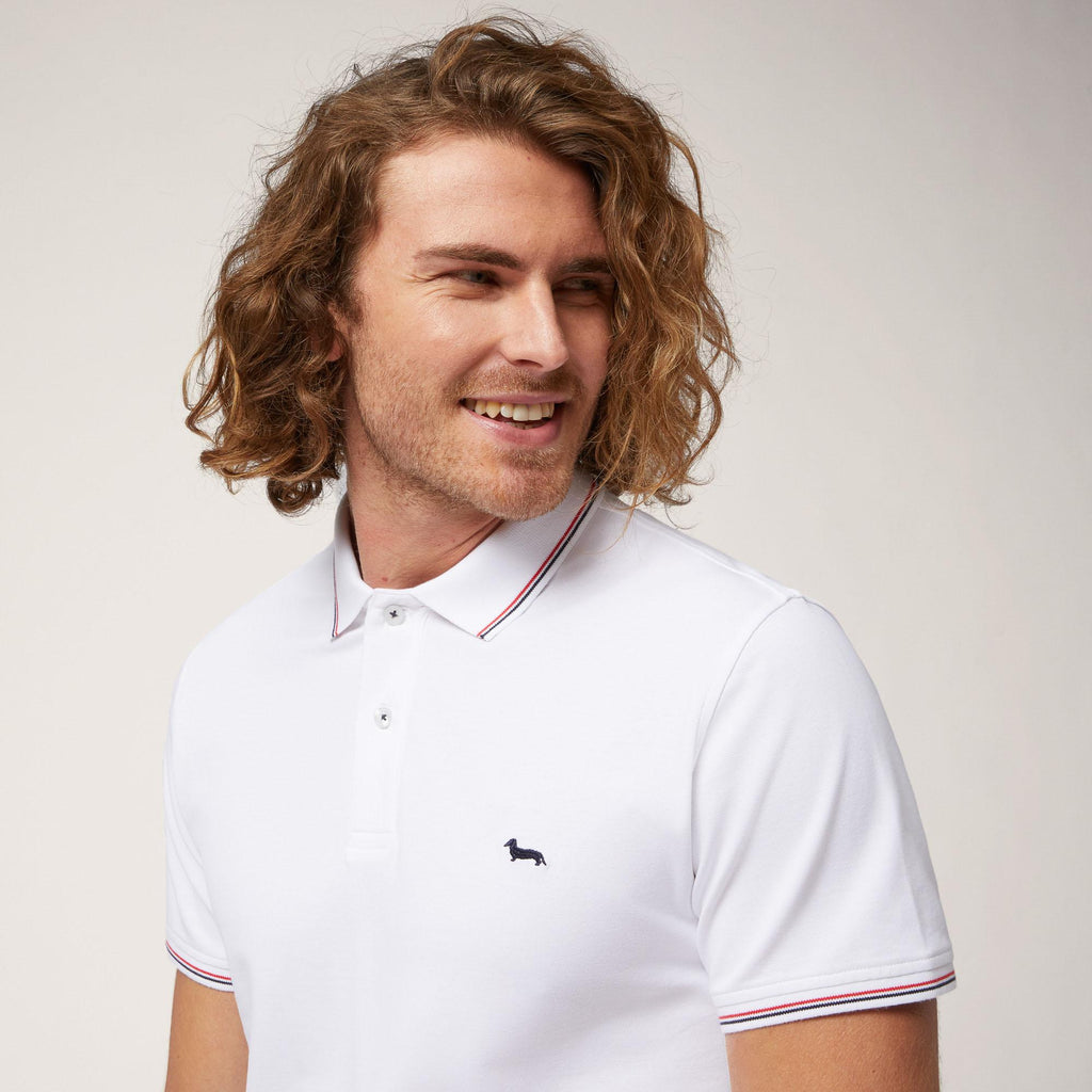 POLO UOMO COTONE 