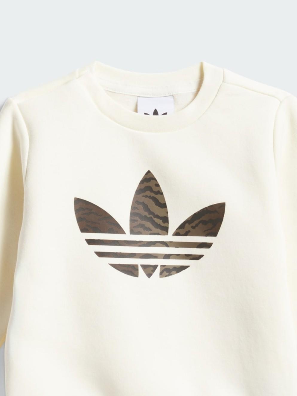CREW SET            CREWHT/NBROWN 