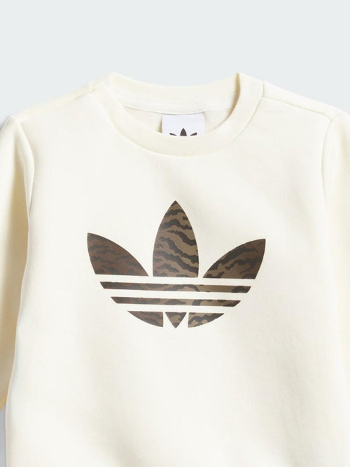 CREW SET            CREWHT/NBROWN 