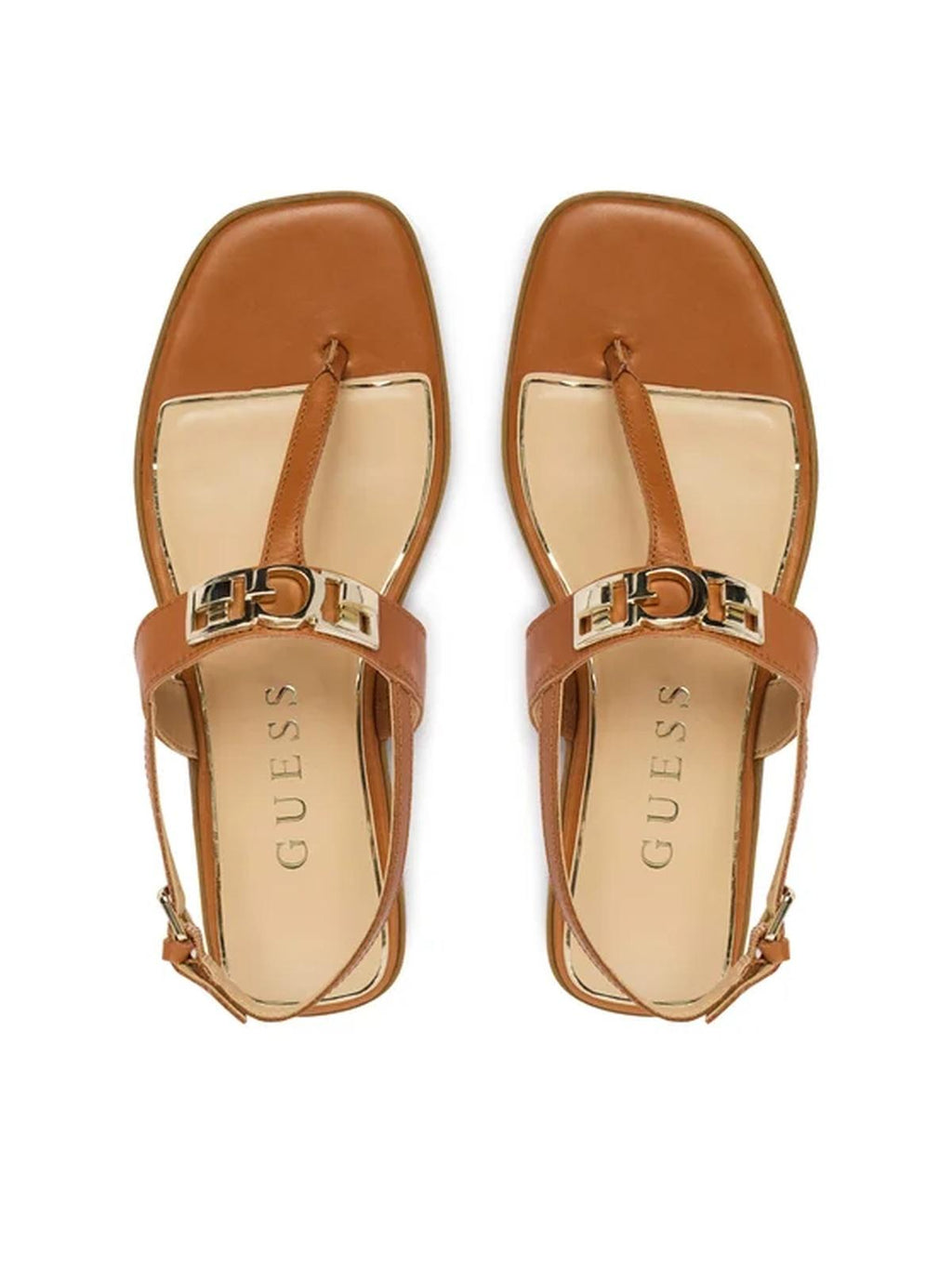 FLJRMYLEA03/BROWN GUESS
