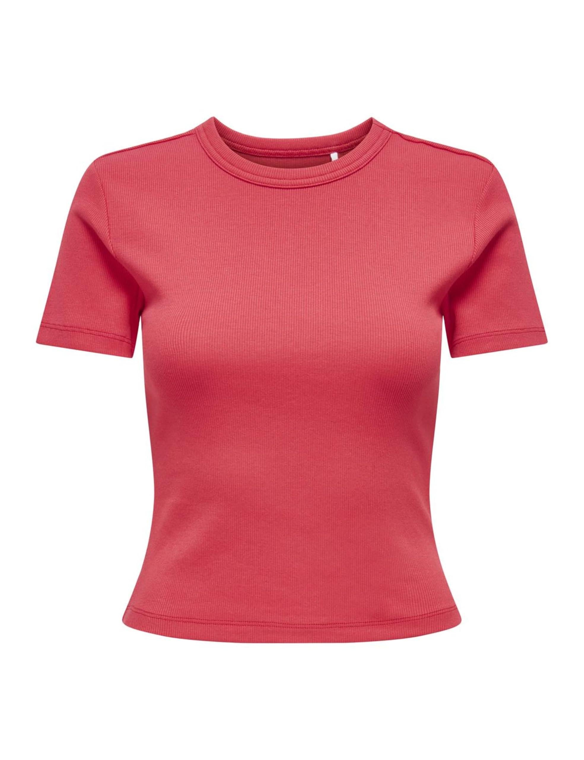 15339774/Tomato Puree Casual ONLY