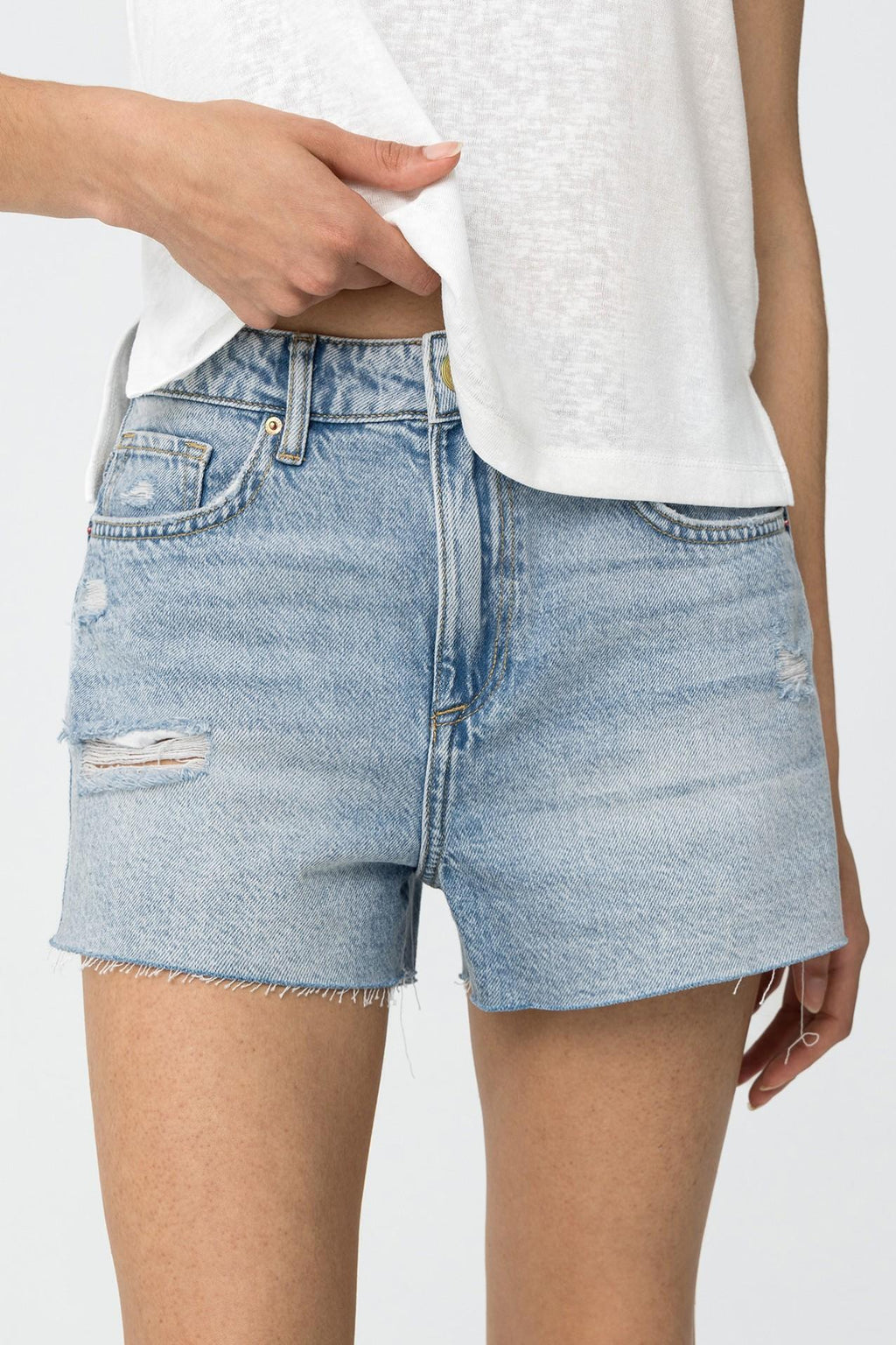 10059379/C20 TIFFOSI