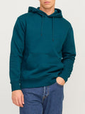 12208157/Deep Teal JACK AND JONES