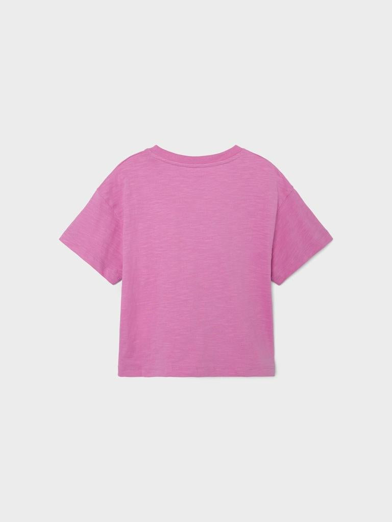 13212160/Cyclamen NAME.IT