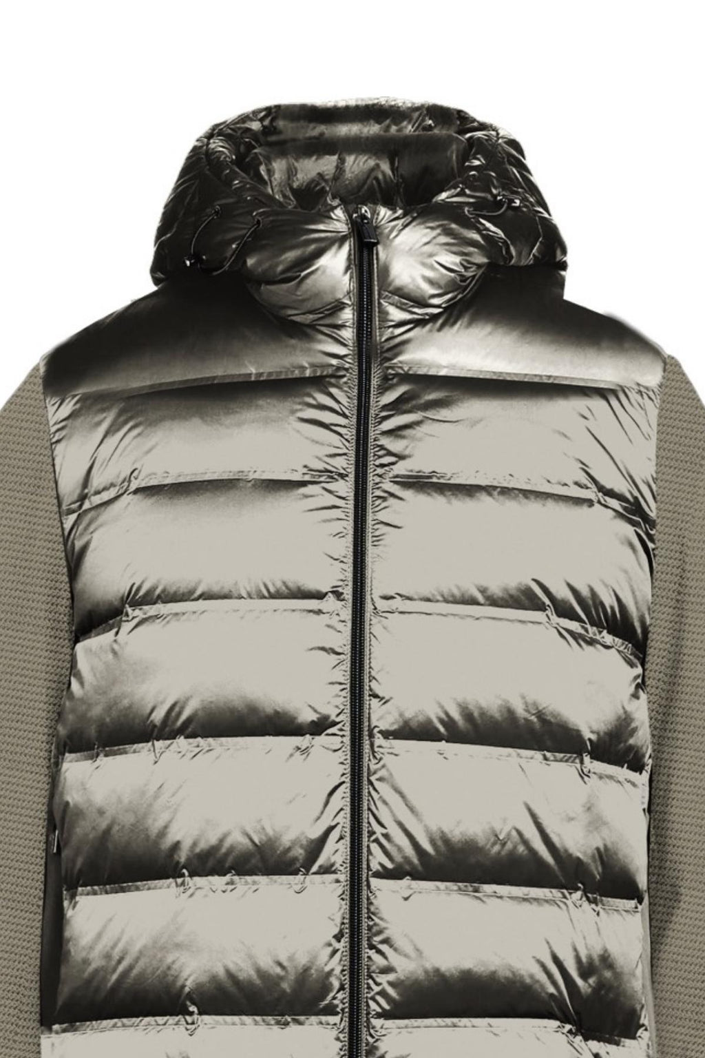 MK794039/TORTORA MARKUP