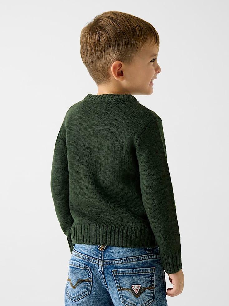 N5BR03Z32N0/G8N1 GUESS