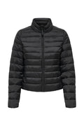 15351967/Black ONLY