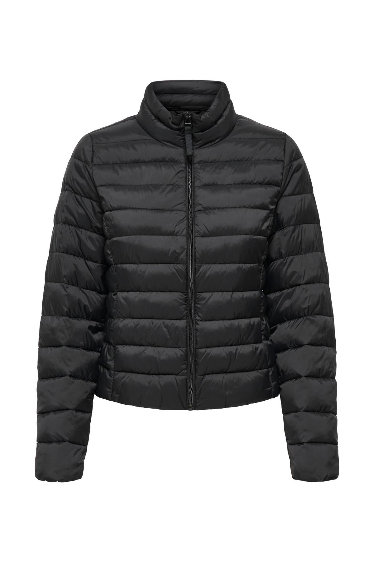 15351967/Black ONLY