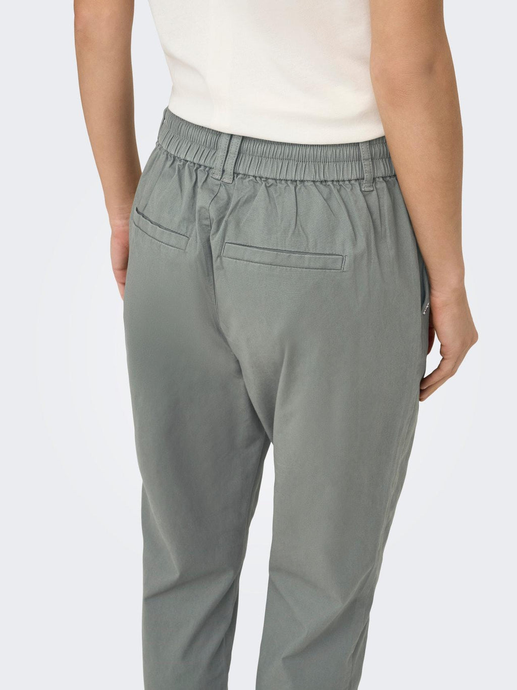 15364228/Mulled Basil ONLY