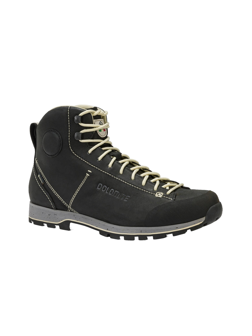 Shoe 54 High Fg Evo GTX 