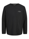 JJCOLLEGE LOGO TEE LS CREW NECK 
