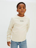 IB0IB02617J/PGB CALVIN KLEIN