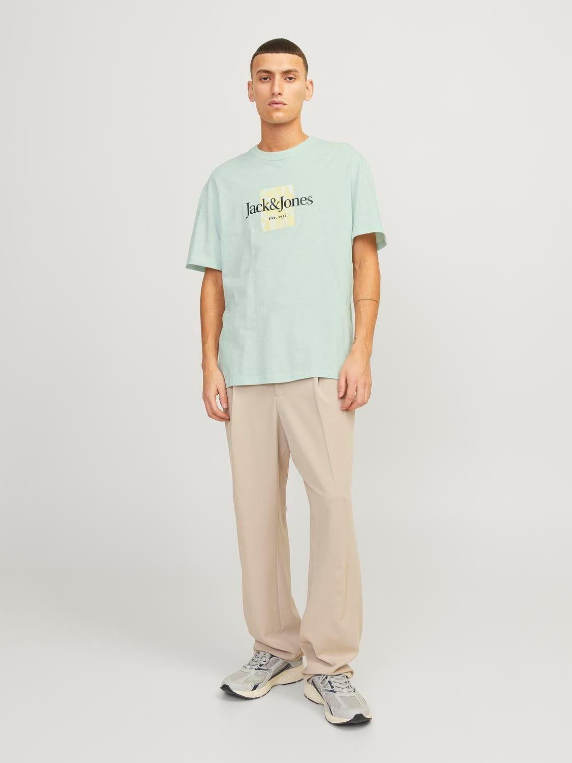 12250436/Skylight JACK AND JONES