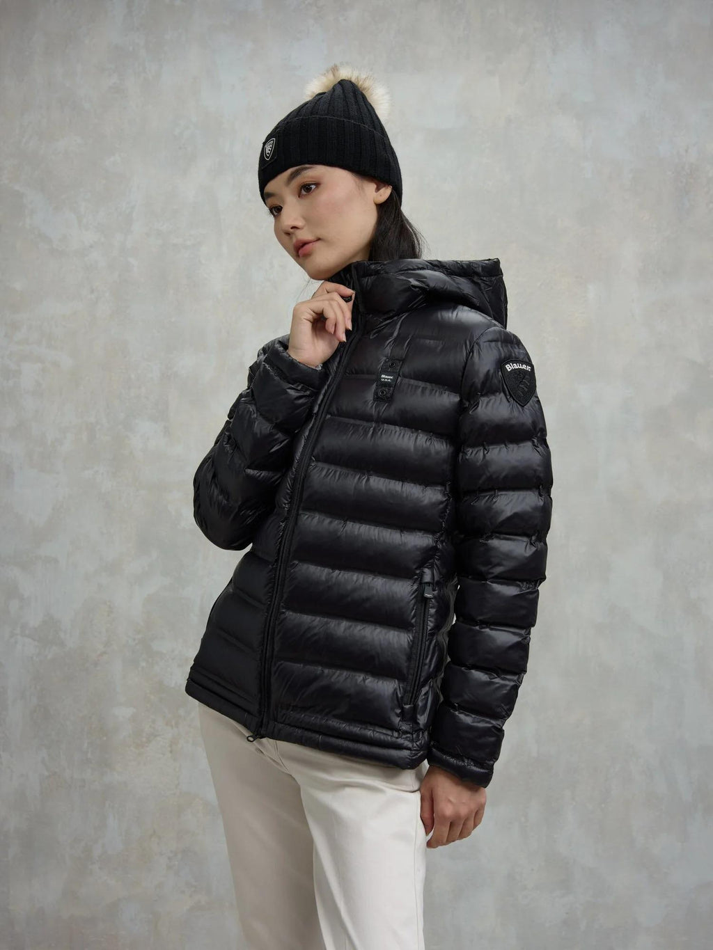 25WBLDC02177 007284/999EN BLAUER