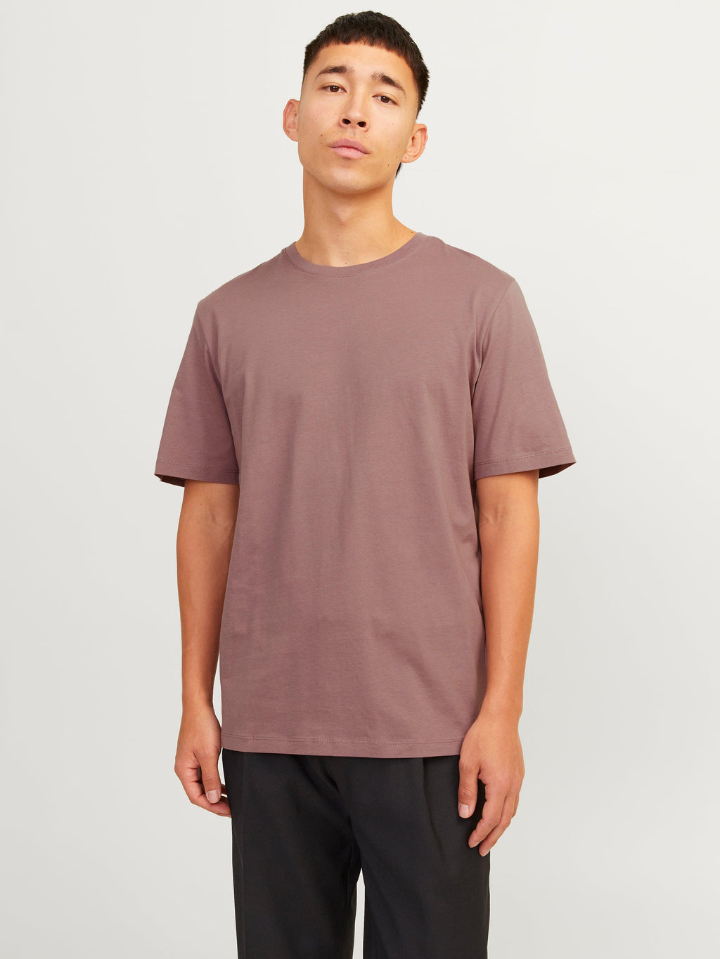 12156101/Twilight Mauve JACK AND JONES