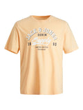 12246690/Apricot Ice JACK AND JONES
