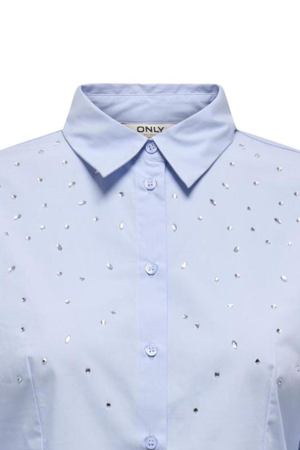 15366704/Brunnera Blue ONLY