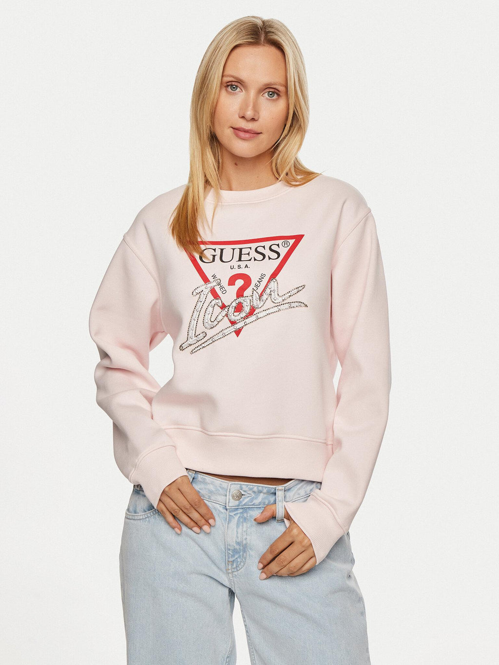 CN ICON SWEATSHIRT 