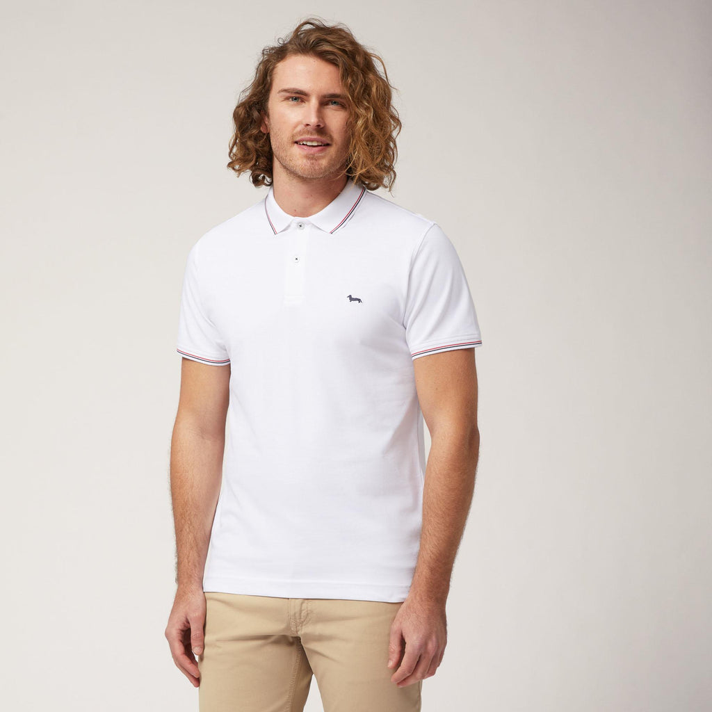 POLO UOMO COTONE 