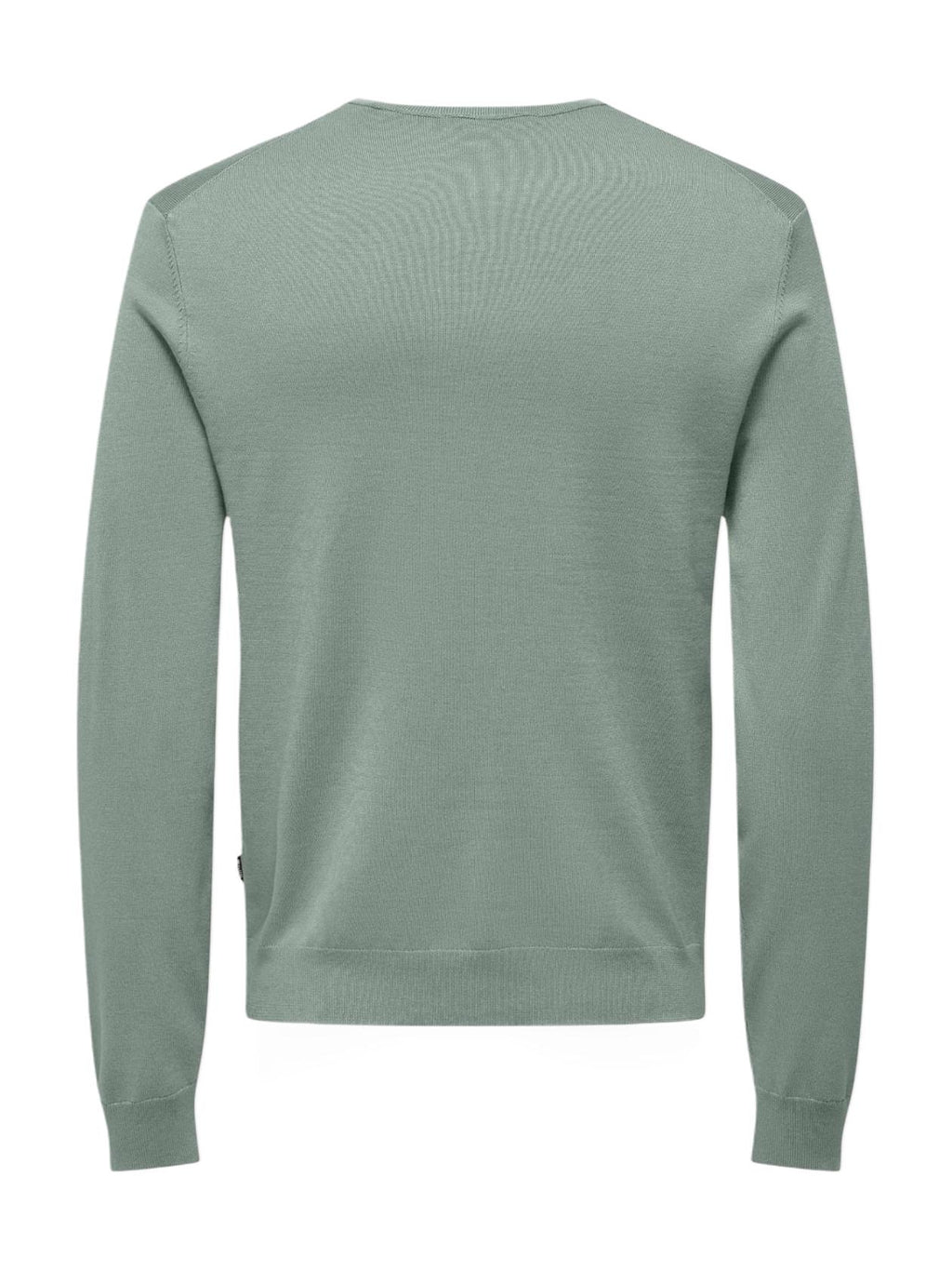 22020088/Iceberg Green ONLY&SONS