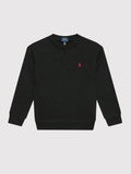RALPH LAUREN LS CN-TOPS-KNIT