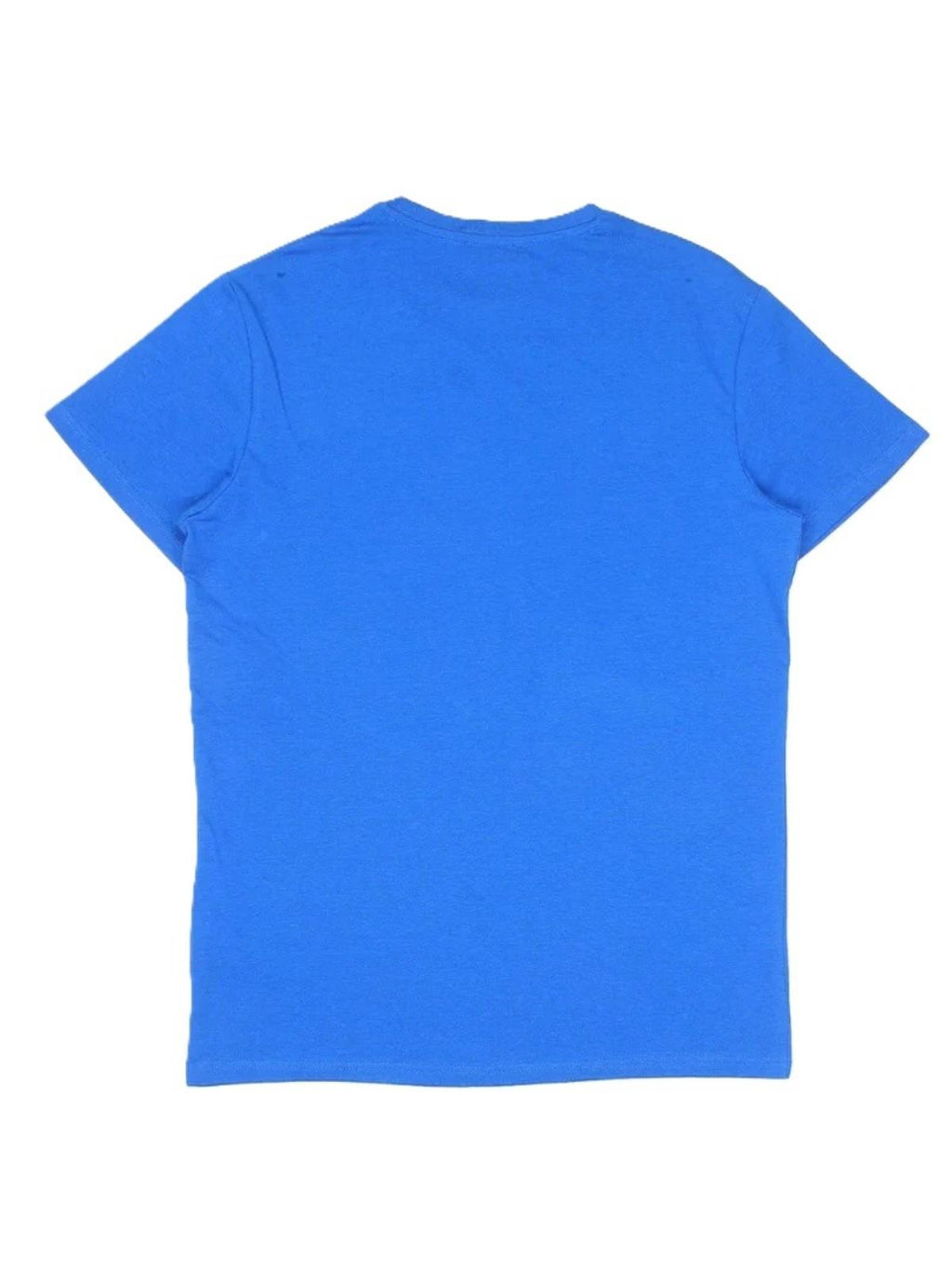 ICE25MTS01/BLUE ICEBERG