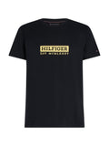 TOMMY HILFIGER COLOUR TO COLOUR GRA