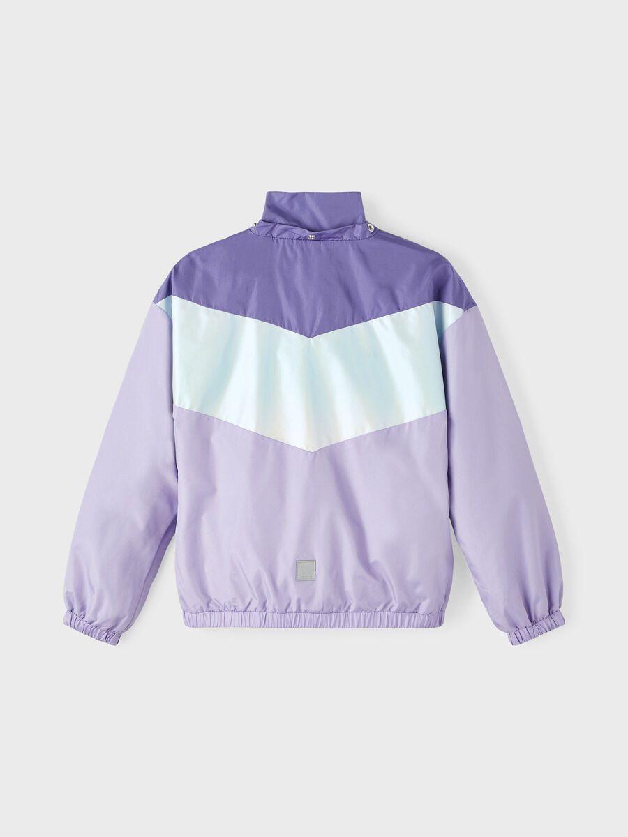 13211763/Sand Verbena NAME.IT