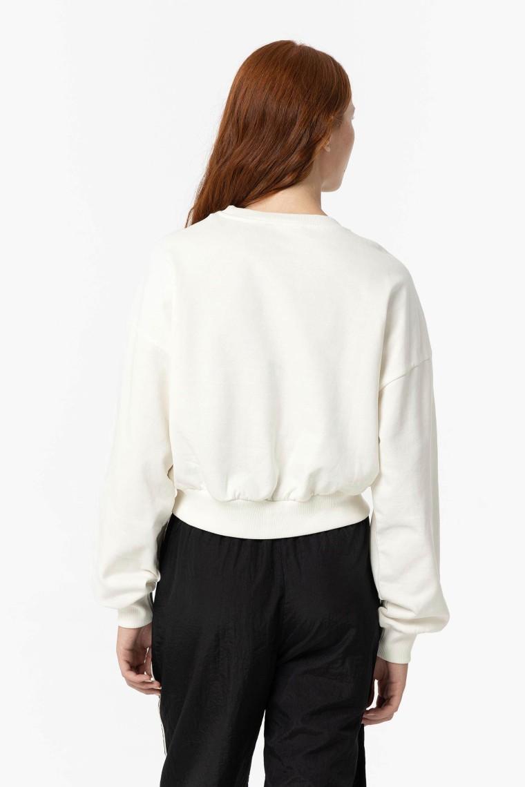 10057234/104 Birch TIFFOSI