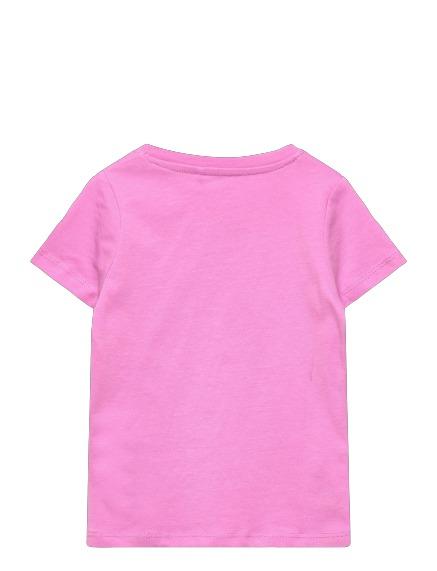 13212844/Cyclamen NAME.IT