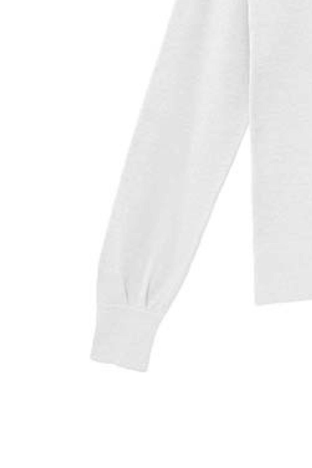 MW760084/LATTE MARKUP