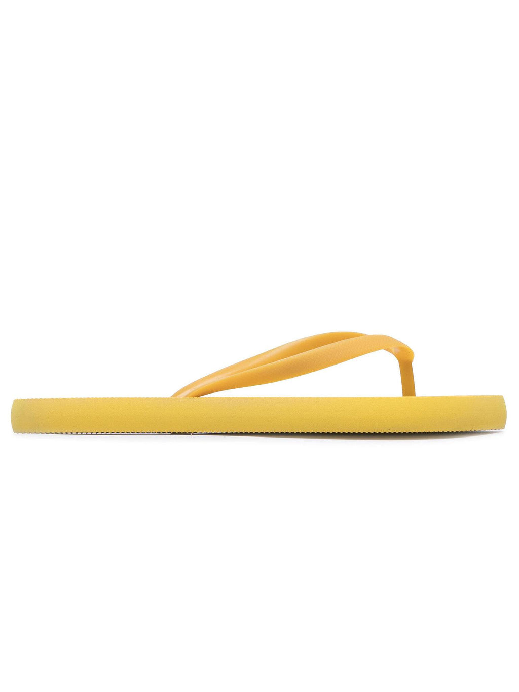 SLIDES 