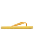 GUESS SLIDES