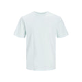 JACK AND JONES JJEORGANIC BASIC TEE SS O-NECK NOOS